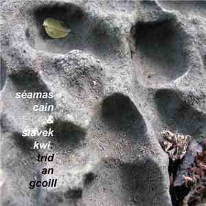 Séamas Cain & Slavek Kwi - Tríd An Gcoill download flac mp3