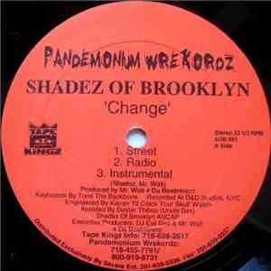 Shadez Of Brooklyn - Change / When It Rains It Pours (Survival Warz!) download flac mp3