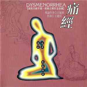 Shanghai Chinese Traditional Orchestra - 痛經 = Dysmenorrhea download flac mp3