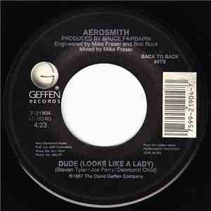 Aerosmith - Dude (Looks Like A Lady) / Angel download flac mp3