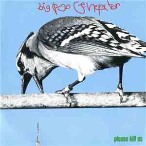 Big Poo Generator - Please Kill Us download flac mp3