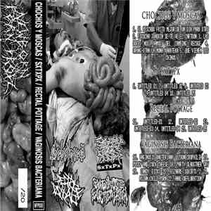 Chochos Y Moscas, SxTxPx, Rectal Pottage, Vaginosis Bacteriana - Chochos Y Moscas - Sxtxpx - Rectal Pottage - Vaginosis Bacteriana download flac mp3