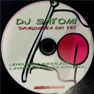 DJ Satomi - Dragostea Din Tei download flac mp3