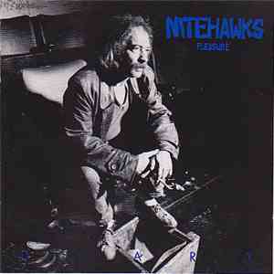 Nitehawks Pleasure - Diary download flac mp3