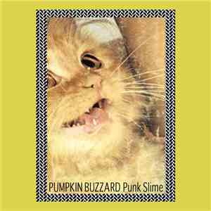 Pumpkin Buzzard - Punk Slime download flac mp3