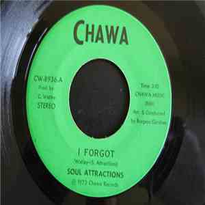 Soul Attractions - I Forgot / I Never Knew What Love Was Like download flac mp3