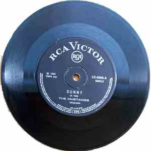 The Mustangs  - Sunny download flac mp3