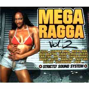 Various - Mega Ragga Vol. 2 download flac mp3