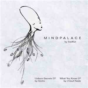BadKat - Mindpalace download flac mp3