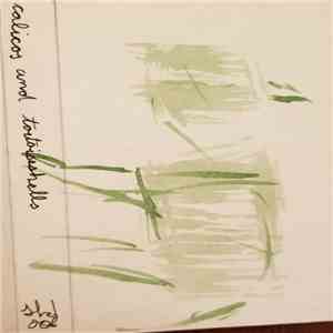 Calicos And Tortoiseshells - S/T download flac mp3