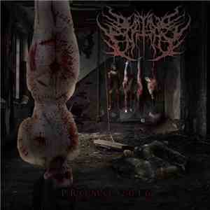 Derisive Entity - Promo 2016 download flac mp3
