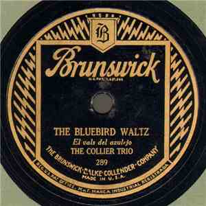 The Collier Trio - The Bluebird Waltz (El Vals Del Azulejo) / Irene Waltz download flac mp3