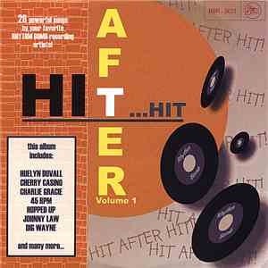 Various - Hit After Hit vol.1 download flac mp3