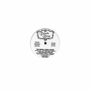 Various - The Future Looks Bright download flac mp3