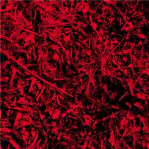 Wall Destruction - No Rest download flac mp3