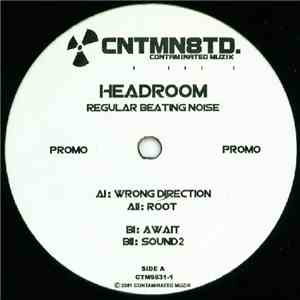 Headroom - Regular Beating Noise download flac mp3
