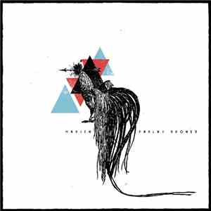 Marjen & Parlay Droner - Split EP download flac mp3