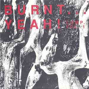 Various - Burnt... Yeah!!! Vol. 1 download flac mp3