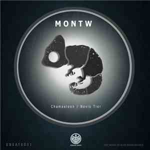Montw - Chamaeleon / Nevis Tier download flac mp3
