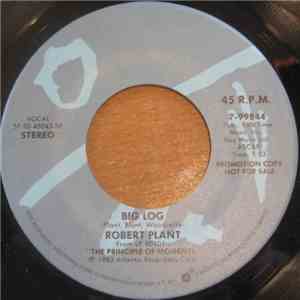 Robert Plant - Big Log download flac mp3