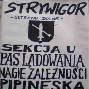 Various - Strywigor - Ustrzyki Dolne download flac mp3