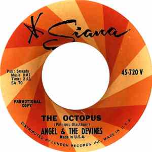 Angel & The Devines - The Octopus download flac mp3