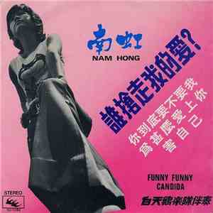Nam Hong - 誰搶走我的愛? download flac mp3