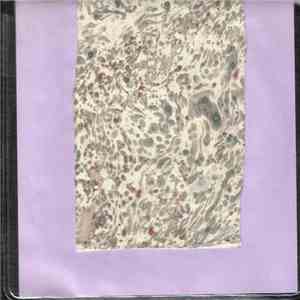 Second Violin - Hospital Fugue Of Mad Nurse download flac mp3