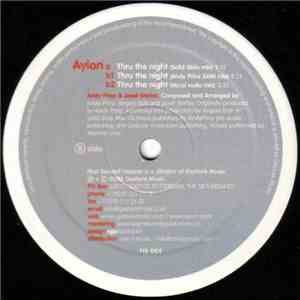 Ayion - Thru The Night download flac mp3