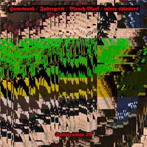Homewood / Foltergeist / Bleach Black / Mince Splatters - Splitsession 34 download flac mp3