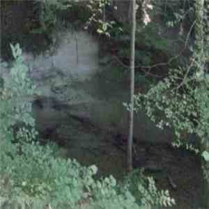 Reiner Mauch - Queen Of The Jungle EP download flac mp3