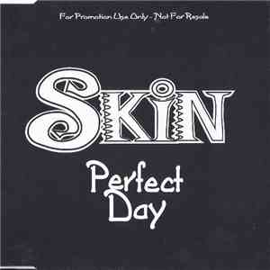 Skin  - Perfect Day download flac mp3