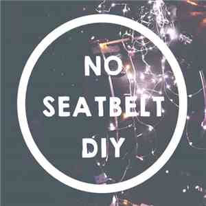 Various - No Seatbelt DIY Compilation #2 download flac mp3