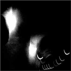 Coppice Halifax - Dissendilo download flac mp3