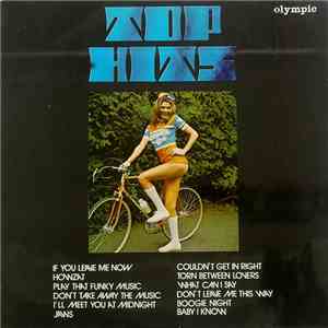 Unknown Artist - Top Hits flac mp3 download
