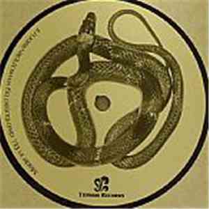 Various - Endgame download flac mp3