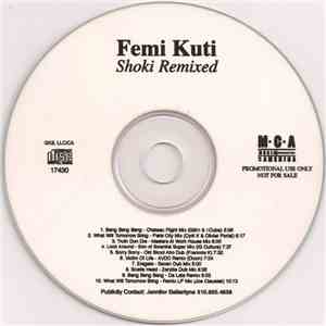 Femi Kuti - Shoki Remixed download flac mp3