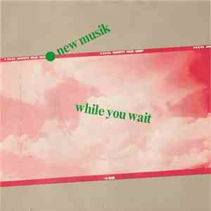 New Musik - While You Wait download flac mp3