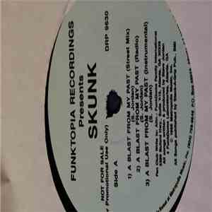 Steve Jordan  - SKUNK download flac mp3