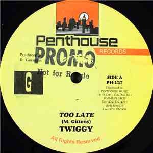 Twiggy - Too Late download flac mp3