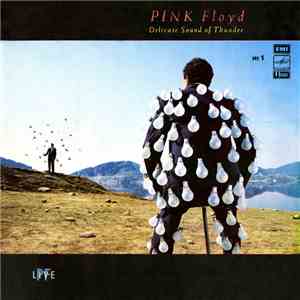 Pink Floyd - Delicate Sound Of Thunder. № 1 download flac mp3