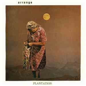 Arrange - Plantation download flac mp3