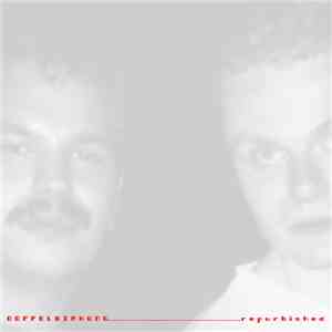 Doppelwirkung - Refurbished download flac mp3