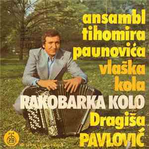 Dragiša Pavlović - Rakobarka Kolo download flac mp3