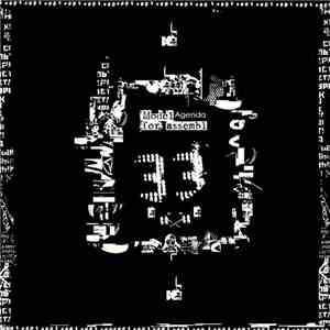 Model For Assembl - Agenda download flac mp3