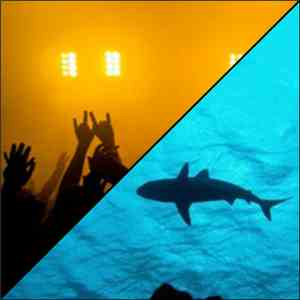 P-80 - Throw Ya Hands / Swim download flac mp3