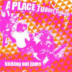 A Place To Bury Strangers - Kicking Out Jams download flac mp3