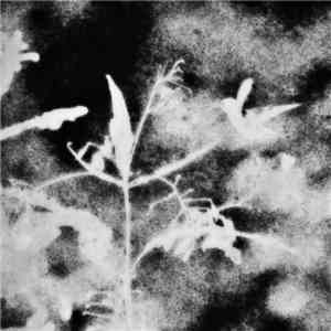 DR  - November Lullabies download flac mp3