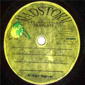 Fitzieniceness - Can't Understand / For Ever Mine download flac mp3
