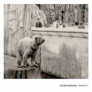 Julien Marchal - Insight II download flac mp3